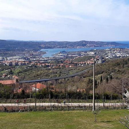 Bellavista Trieste San Dorligo della Valle Dış mekan fotoğraf