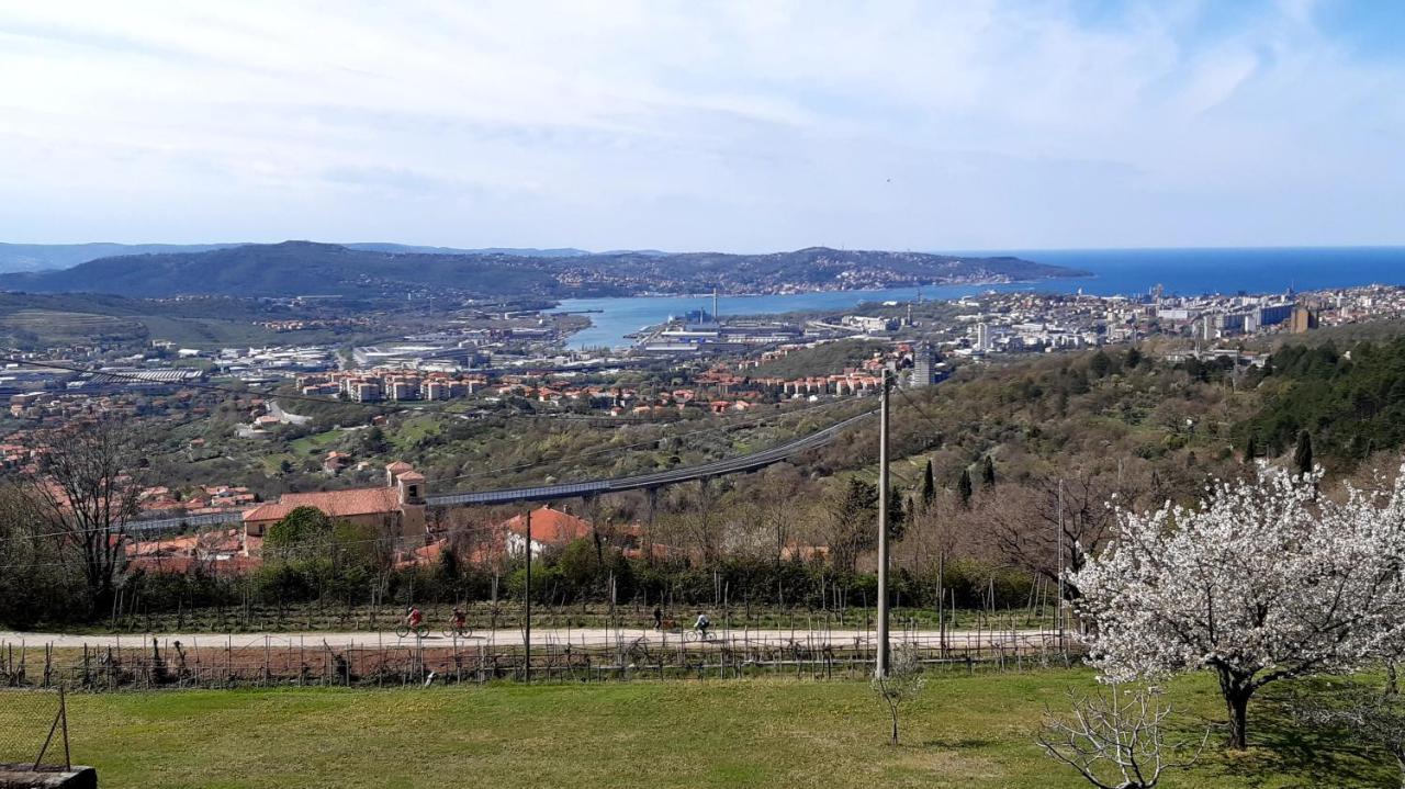 Bellavista Trieste San Dorligo della Valle Dış mekan fotoğraf