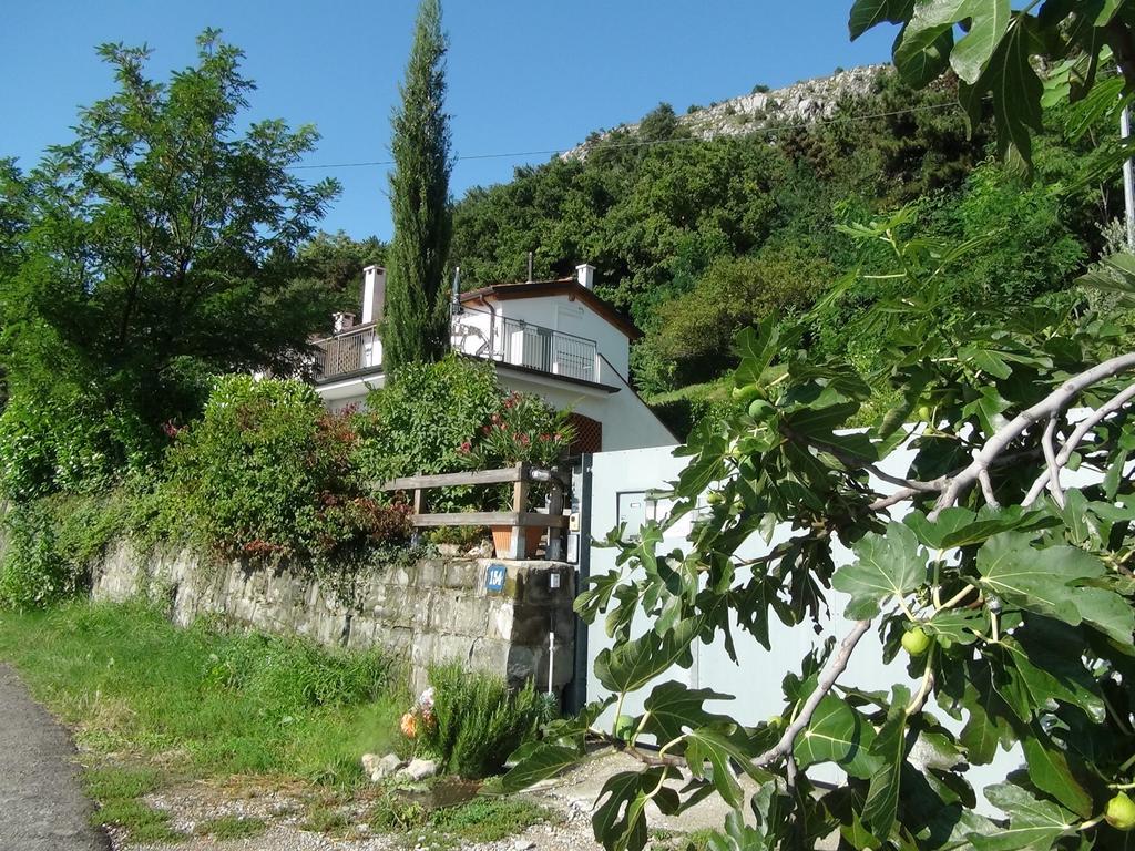 Bellavista Trieste San Dorligo della Valle Dış mekan fotoğraf